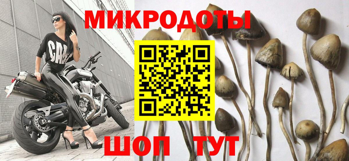 Дзержинский  Галлюциногенные грибы Cubensis  Галлюциногенные грибы мицелий  Вход с VPN 