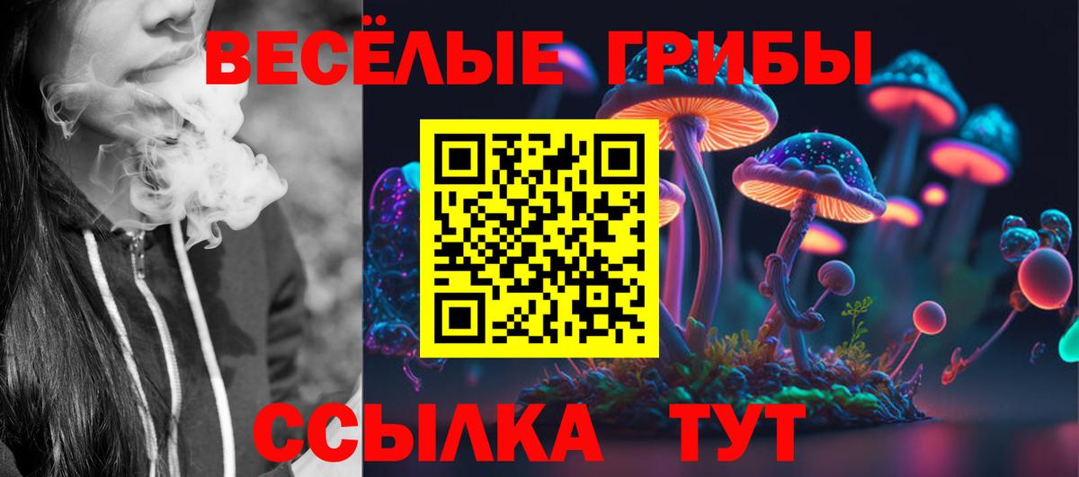 Галлюциногенные грибы прущие грибы Дзержинский